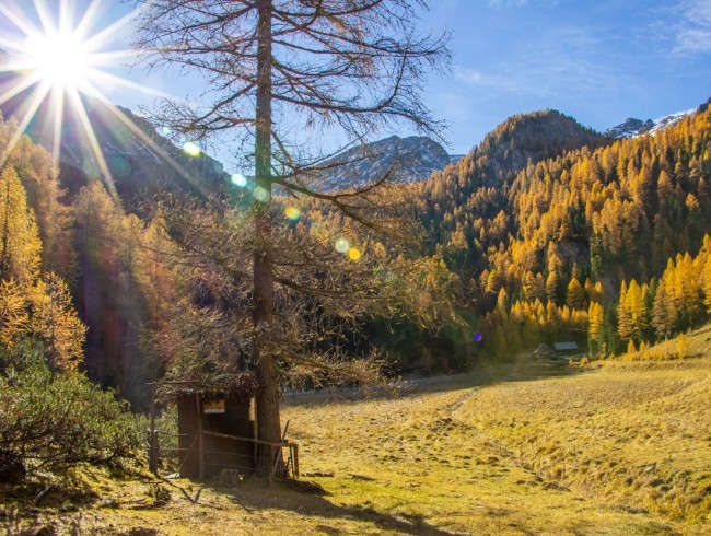 Jagdrevier im Salzburgerland